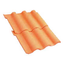 Portuguesa